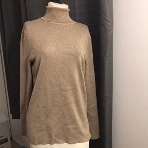 Chico’s Gold sparkly turtle neck.